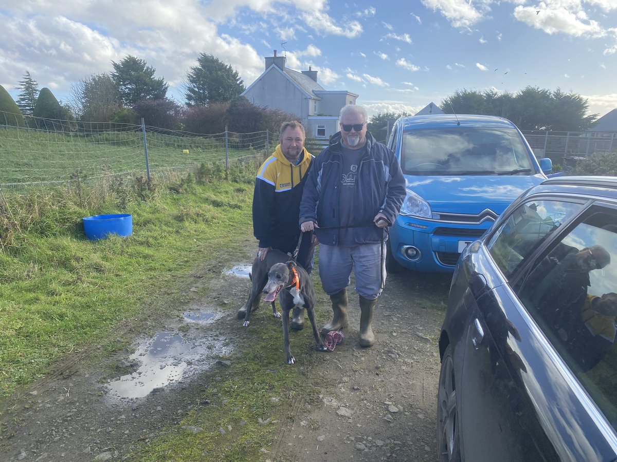 DodgyATCC's tweet photo. I had the pleasure of meeting the “Orange breeding” team on Tuesday with a day trip to NIreland!!
Thank you Noel and Jimmy and the lovely Orange Theresa  (who’s either Mum or Gran to 12 dogs we’ve had off them)! https://t.co/qsjAohE0VQ