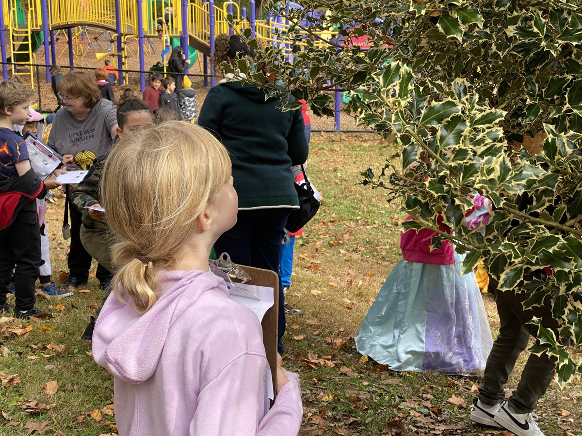kingsparklions's tweet photo. Our third graders learned about what we get from trees, help plant the tree, then completed a scavenger hunt observing trees, erosion, and signs of fall. #greatmindsatWORK https://t.co/vhNo9Dnze2
