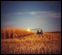 AgWest's tweet photo. We're on the final stretch of #PickingPics! Send us your Harvest Update through the 31st! 

Thanks Nicholas Smith of Cozad, Nebraska for your entry - best of luck on the last week! #AgTwitter #harvest22 https://t.co/UCQvvIL64N