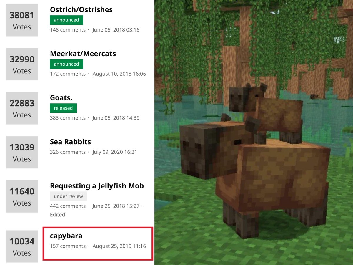 CAPIVARAS LIDERAM A VOTAÇÃO DO MINECRAFT FEEDBACK E PODEM CHEGAR