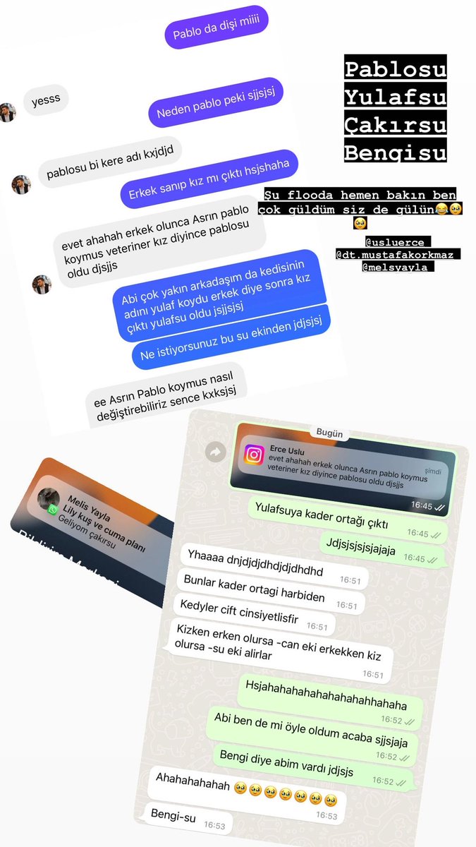 bngscakir's tweet photo. Sonu su olarak biten her ismi elediğimiz bir konuşma akışı hsjsjsjajja tek sorun benim adım Bengisu jsjsjsjaja https://t.co/Gg5dp23Esa
