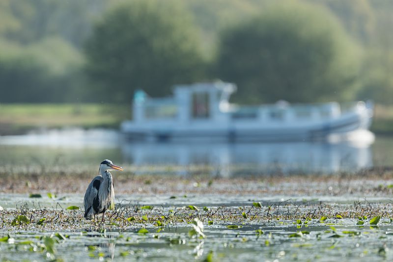 regionbretagne's tweet photo. 🍂Il n’y a pas de morne saison sur les canaux bretons. 

Même l’automne, quand la navigation prend fin, est propice à des balades, des découvertes et des rencontres en tous genres. 

Suivez le guide !➡️https://t.co/arG6nA76im https://t.co/IuVMkRtdKS