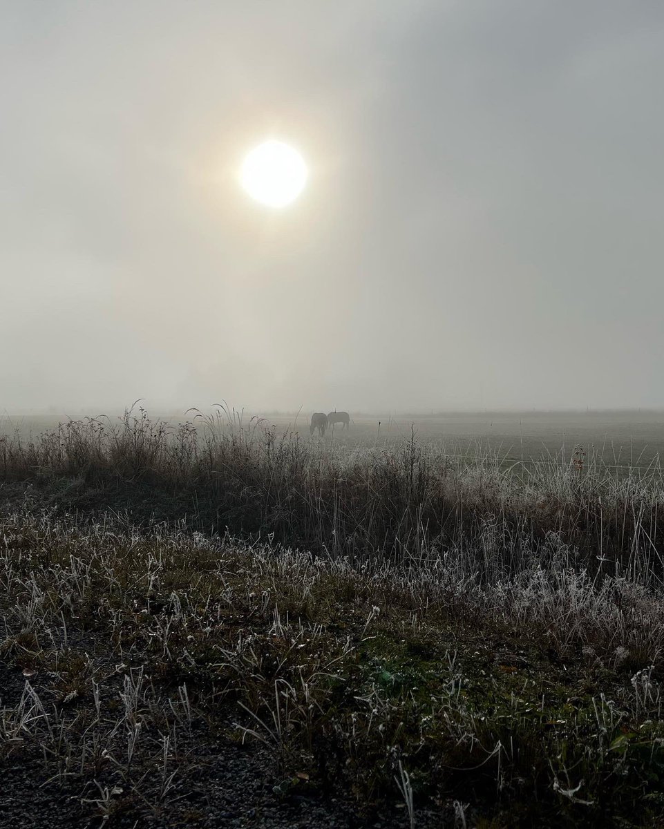 October Morning #waniaracing