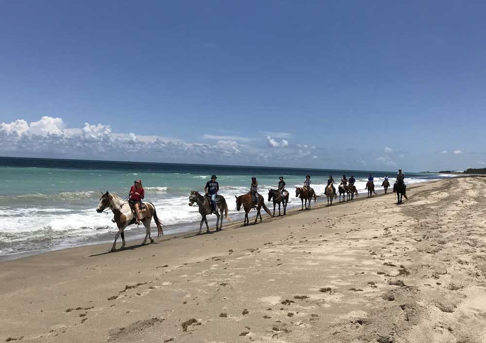 Florida Rambler tweet media