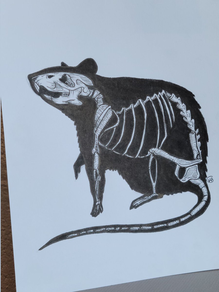 Congratulations to Kailyn Becker for winning the Halloween Art Contest &amp; to Ava Primak for winning the Halloween Short Story Contest! You can read her short story "gambit" online at: sites.google.com/view/afhspatri… Stay tuned for future contests! <a href="/AFHSstudentserv/">AFHS Student Services</a> <a href="/AFHSannounce/">AFHS_Announcements</a>