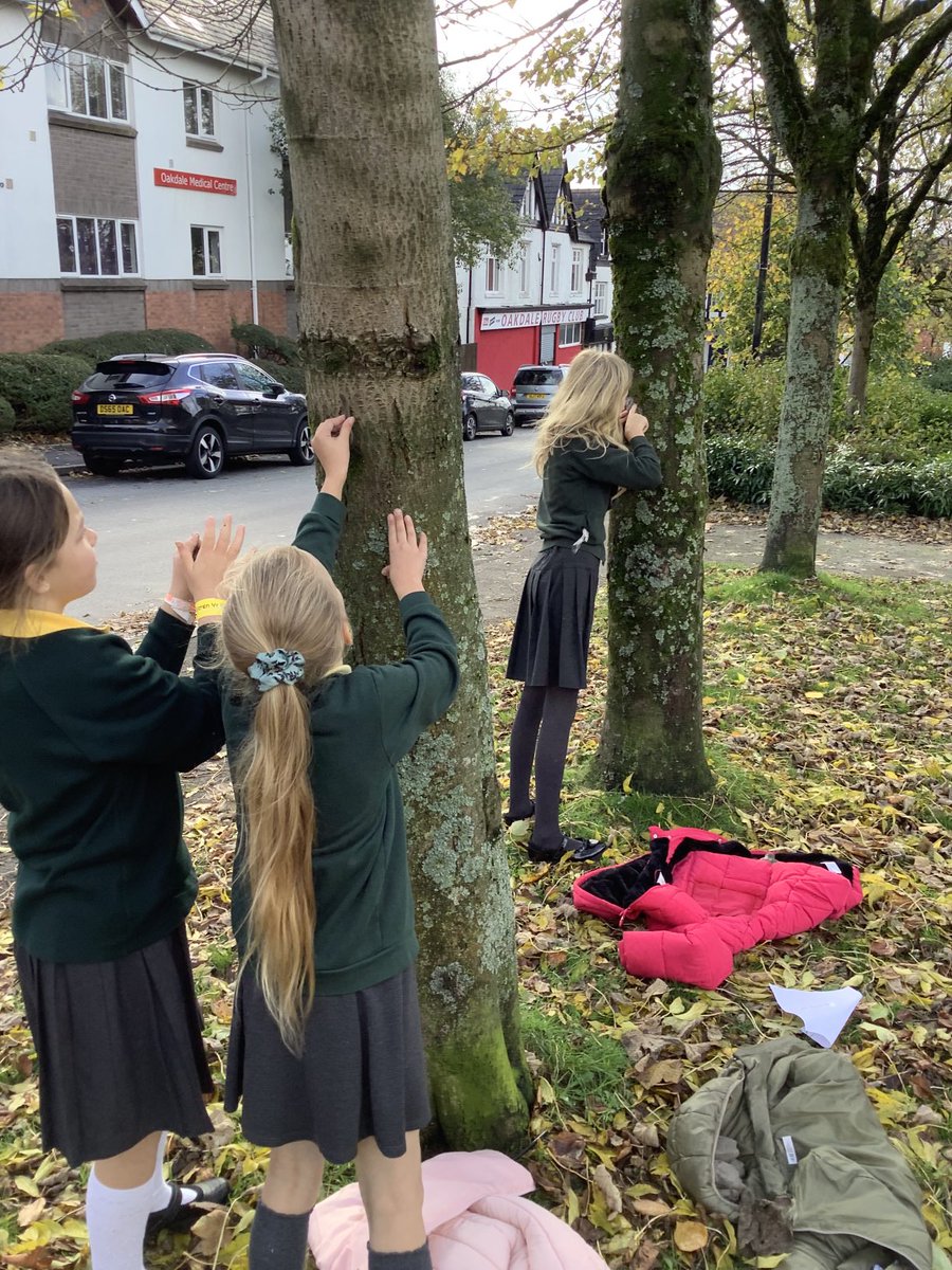 Cwm Derwen tweet media