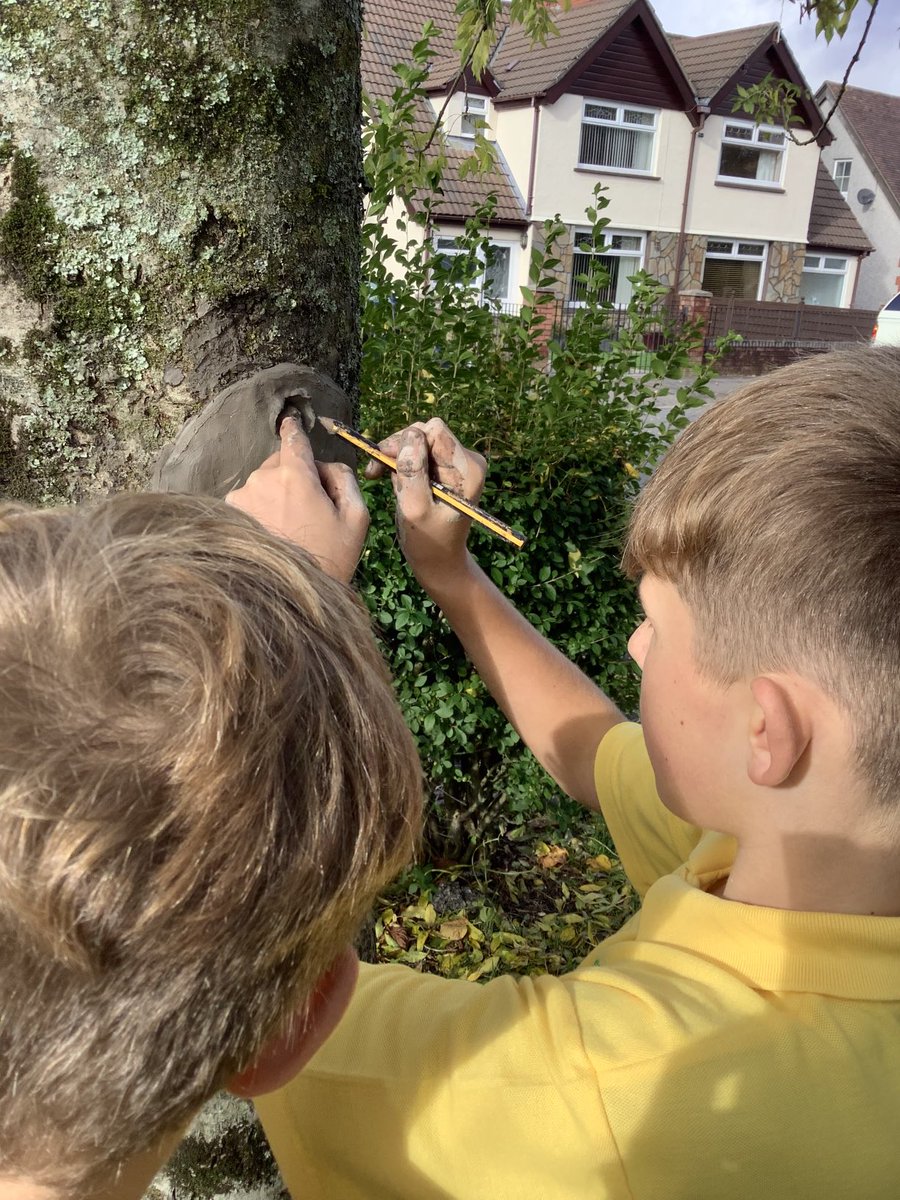 Cwm Derwen tweet media