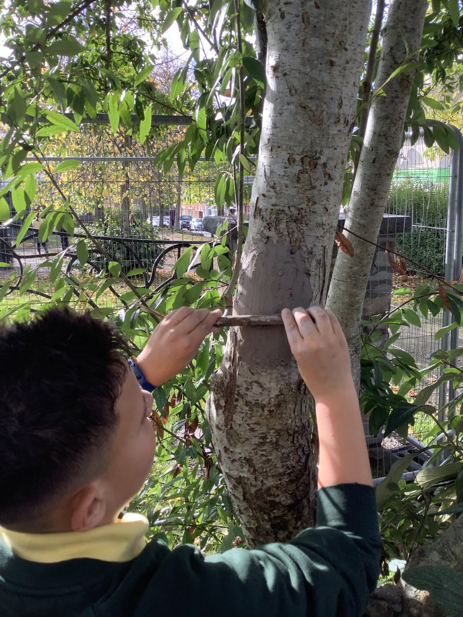 Dysgu tu allan- mae Blwyddyn 6 wedi bod yn creu drysau dychymyg allan o glai ar y coed sydd yn y sgwâr yn Oakdale! #dysgutuallan Year 6 have been creating imaginary doors out of clay on the trees in Oakdale square!