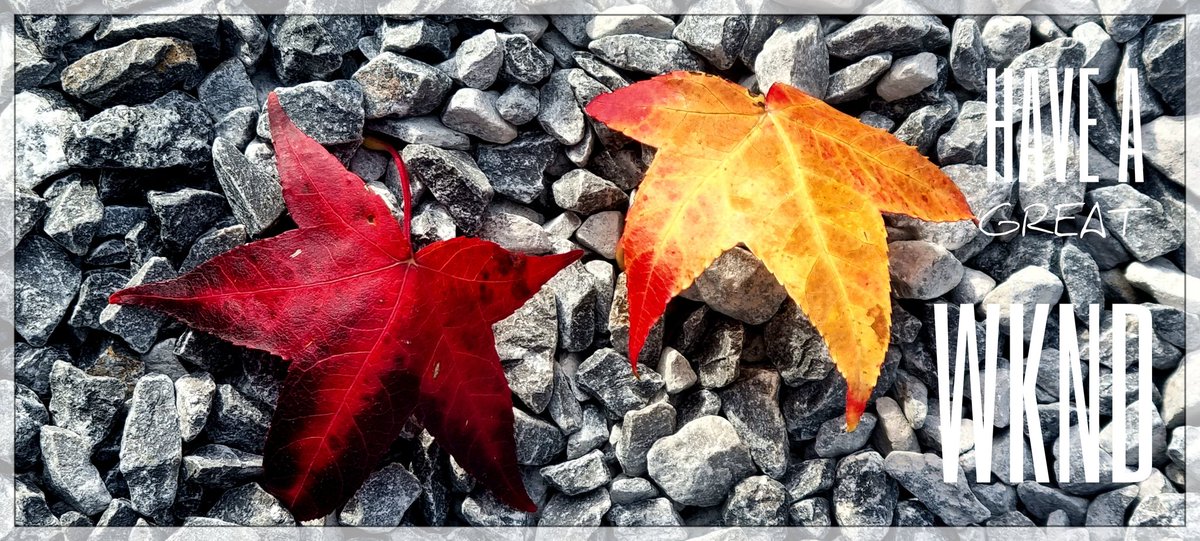 ArtByDiaan (Dubbel Dushi) (@dubbel_dushi) on Twitter photo 