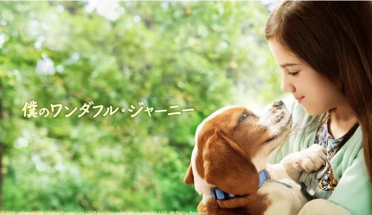 犬垢 Twitter Search Twitter