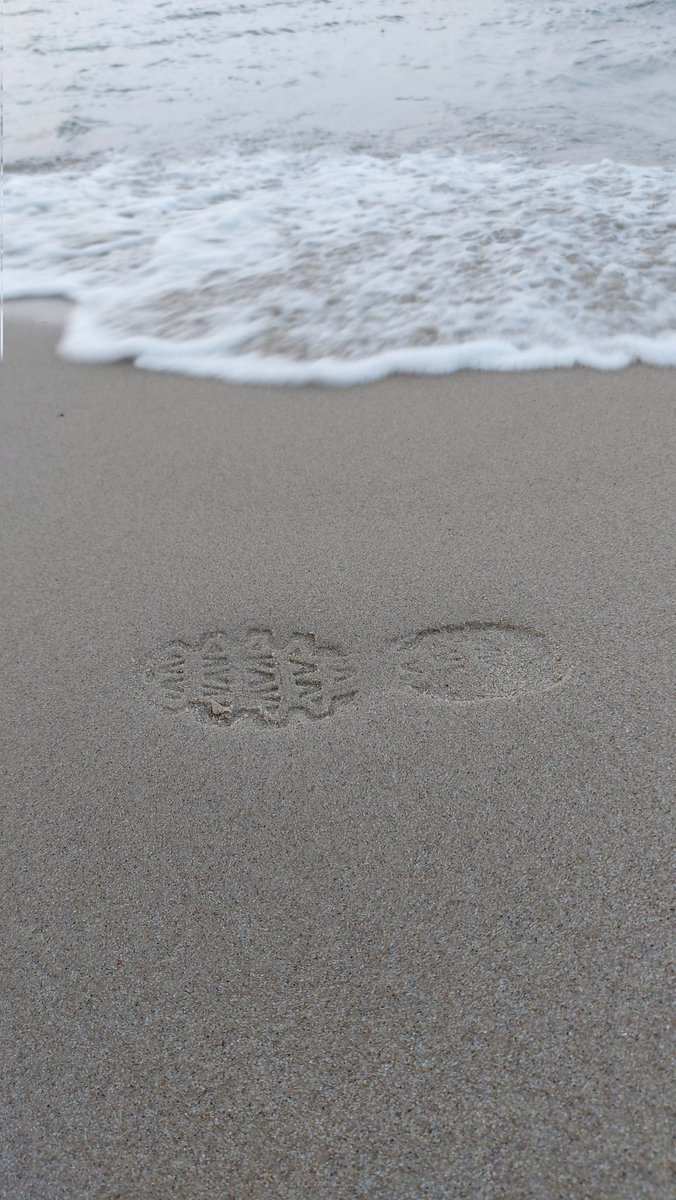 Хугин, лови в коллекцию 😏 <a href="/_Suum_cu1que/">Huginn</a>