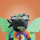 CryptoForest tweet media