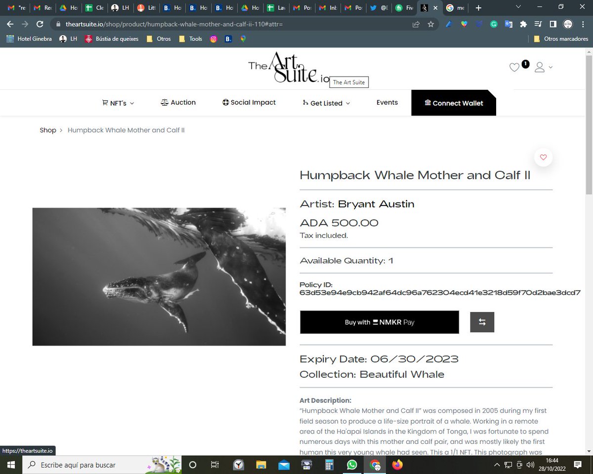 Still available on The Art Suite, this incredible photography NFT of <a href="/Bryant_Austin_/">Bryant ₳ustin</a> called Humpback Whale Mother and Calf, shot by Bryant himself close up to the whale family.

#CNFT #NFT #NFTart #photographyNFT #CNFTart #Cardnamp