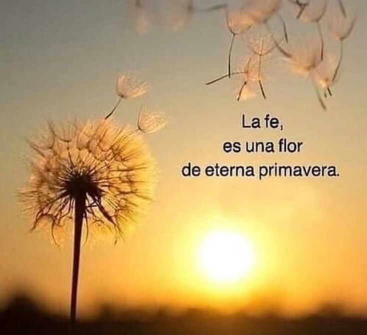 robertlef5's tweet photo. @RAguilar_G https://t.co/01FDPuBJQ4
