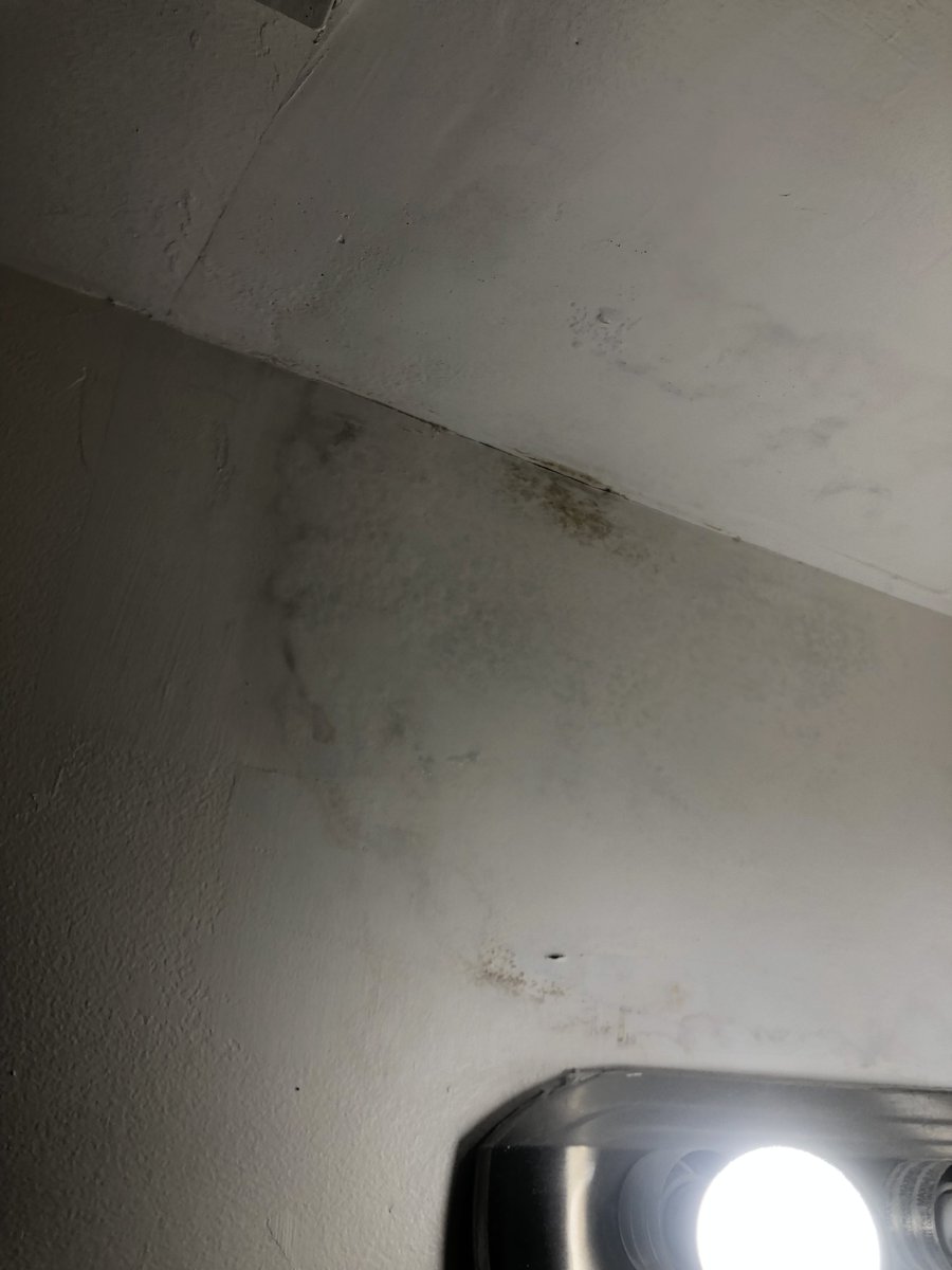 DecaturTenant's tweet image. @NYCHousing @AdolfoCarrion @NYC_DOI @ManhattanDA These are conditions one finds in buildings that were FRAUDULENTLY signed off. DOI was informed in 2016. They allowed  the removal of forgeries  from our 421a file and told us to fuck off to HPD enforcement. 2018-2022 #NOTPROTECTED