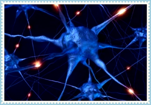 malatinvisibili's tweet photo. SCLEROSI MULTIPLA – IN FASE 3B TRATTAMENTO PRECOCE CON OCRELIZUMAB RIDUCE PROGRESSIONE MALATTIA.
https://t.co/RBLi2go9m3
#multplesclerosis #comitatoimalatiinvisibili #imalatiinvisibili #orfanididiagnosi #comitatoimi #comitatoimionlus #malattierare https://t.co/DCvn0Oor5o