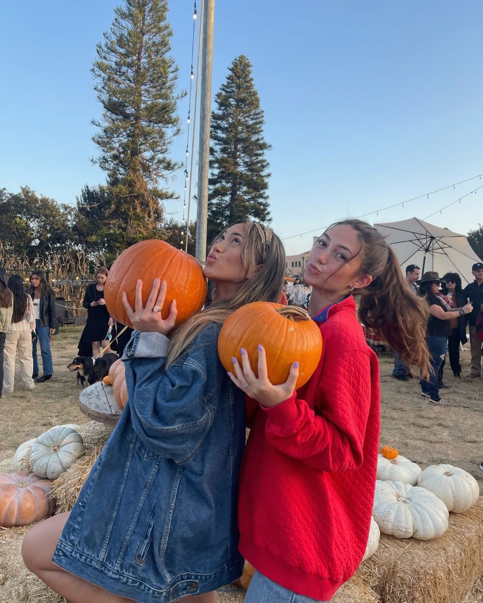 Alpha Chi Omega tweet media