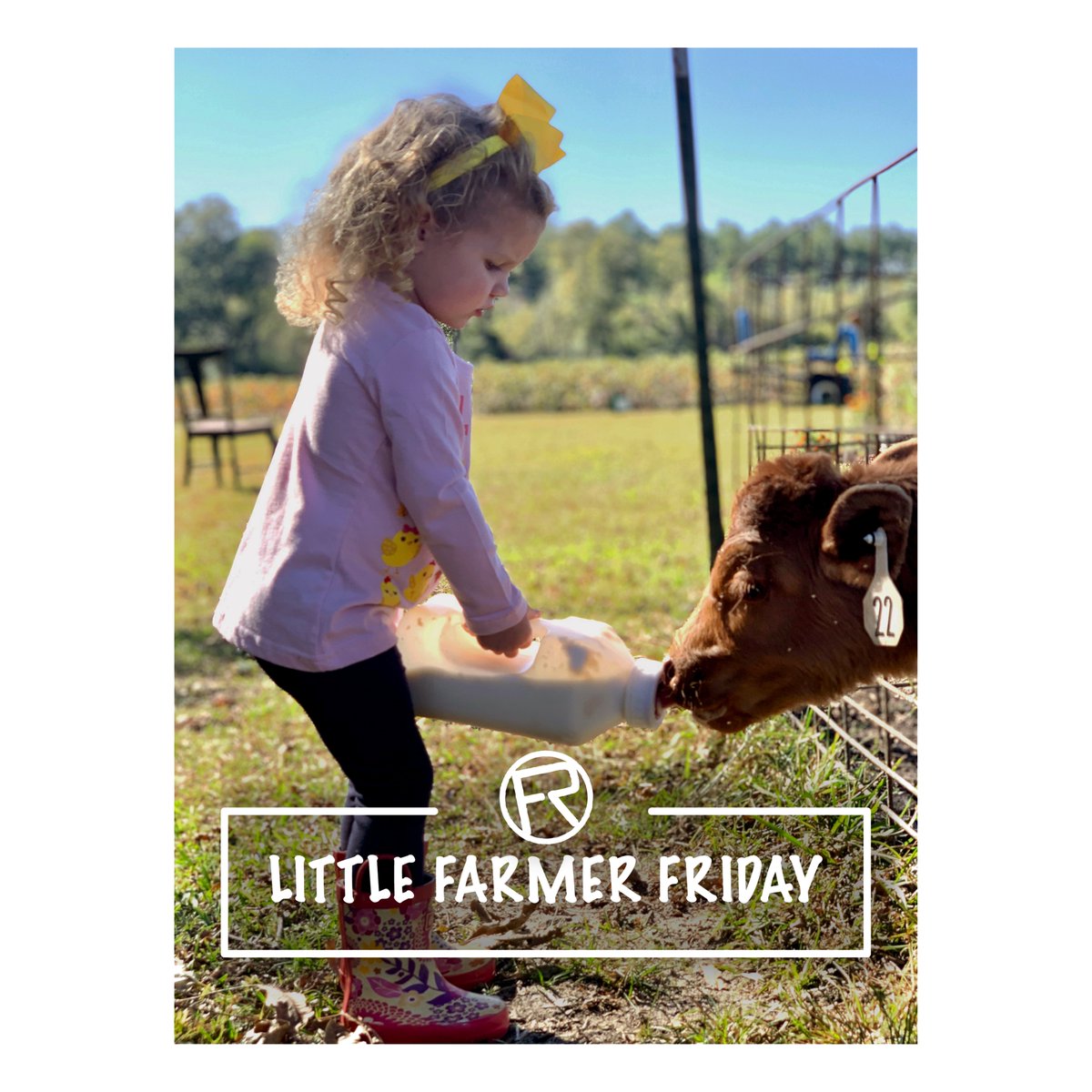 LITTLE FARMER FRIDAY

Photo submission by <a href="/destinyrmoore/">Destiny Moore</a>:
"This is Laney Rhea Moore feeding her family’s calf, Rosie. She enjoys taking care of calves, counting the cows, and helping around the South Georgia farm."