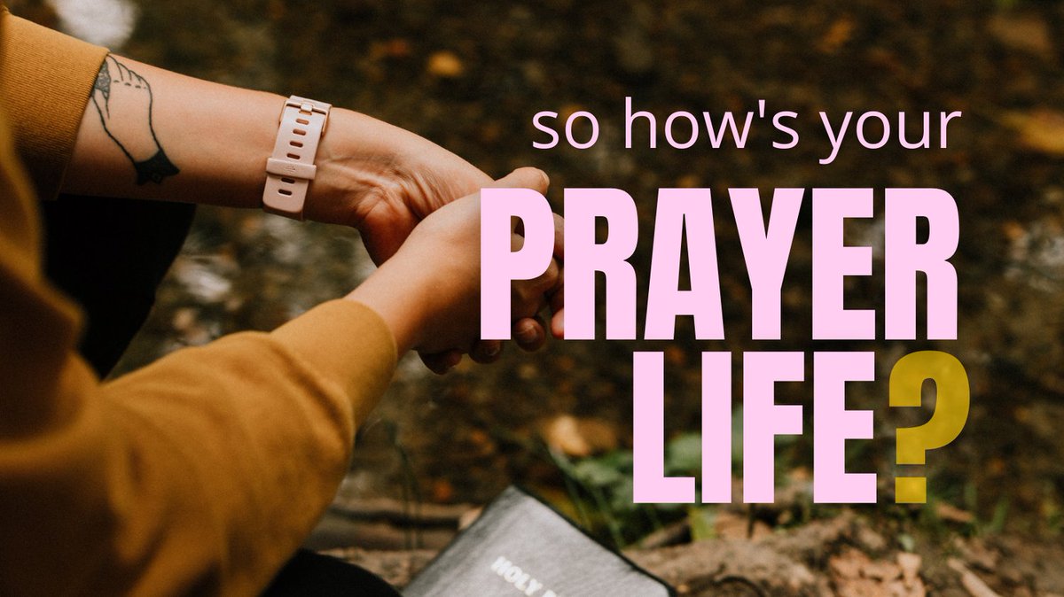 christy_narsi's tweet image. On the blog today... learn EFFECTIVE prayer so you can stop wasting time and breath on prayers that actually make things worse!
christynarsi.com/blog
#christianblogger #godisgoodtome #scripturestudy #dailyscripture #verseoftheday #jesussavesyall #churchcommunity