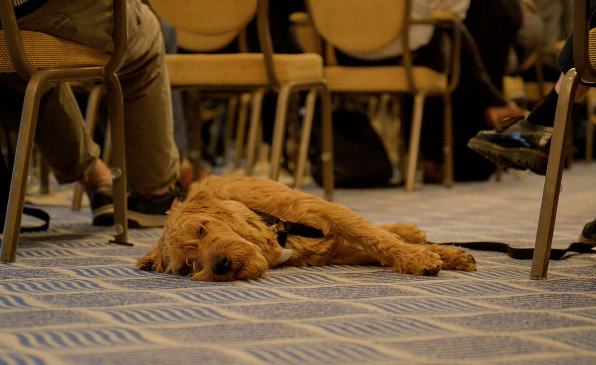 Nach mehr als 3 ertragreichen und interessanten Tagen sind wir nun bereit für’s Wochenende. Wir verabschieden uns aus Stuttgart und freuen uns jetzt schon auf die BvD-Verbandstage im Mai 2023 in Berlin. Danke an alle, die in den letzten Tagen mit dabei waren 👏!  #HK22 #VT23