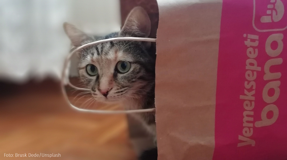 #InEigenerSache Nicht die Katze im sprichwörtlichen Sack: Auf kulturmanagement-portal.de gibt es eine neue Leseprobe des Handbuchs. Lektüre zu Projektmanagement und Streaming Media, rechtlich gesehen. #Kulturmanagement #Kulturpolitik
Infos zum Abo gibt's hier kulturmanagement-portal.de/preise-und-bes…