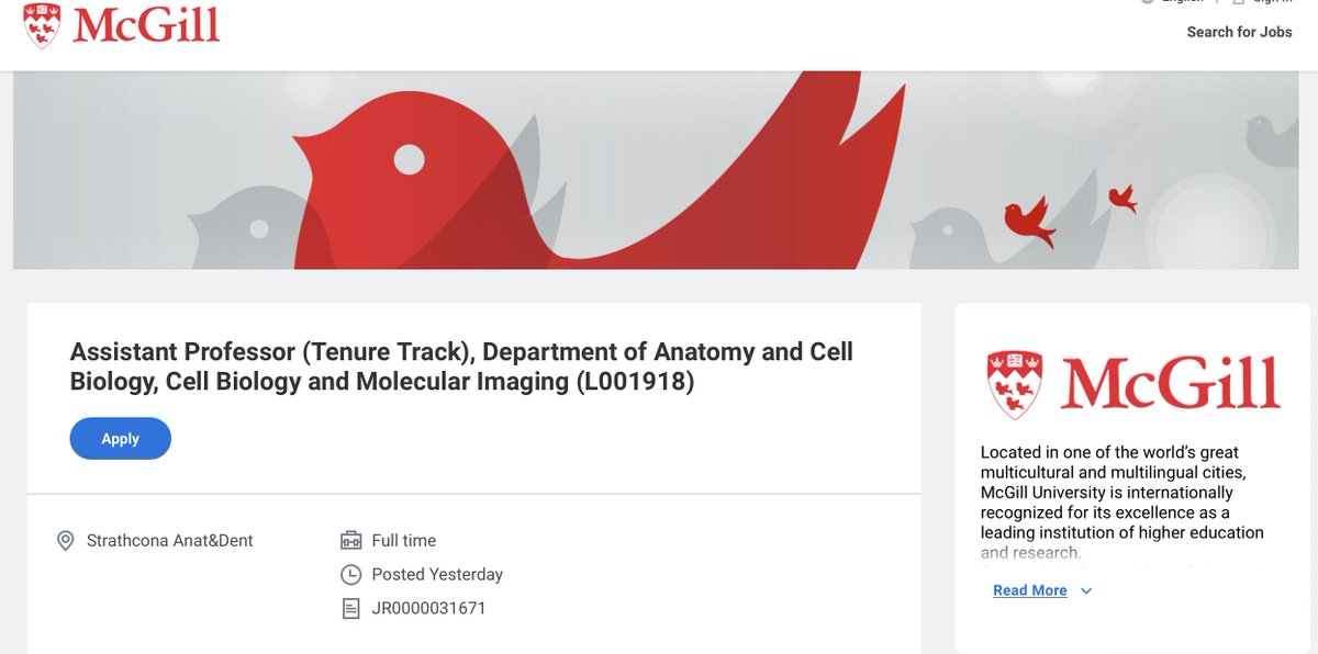 Instead, if you don't want to be Martin's boss but you would like to be Martin's colleague, apply to the Tenure track Faculty position at @McGillSBMS in cell and molecular imaging. Two weeks left to the deadline. mcgill.wd3.myworkdayjobs.com/McGill_Careers…