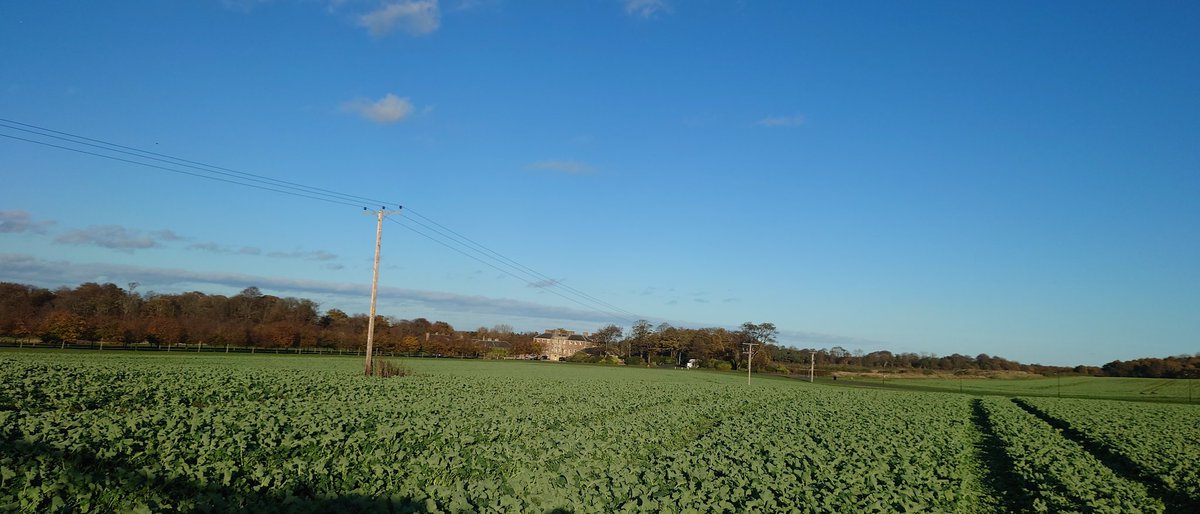 15.5 degress today, no wonder the crops have gone ballistic. A bit of silicone and boron with a nice FPJ being applied. No herbicide as yet #DarkArts