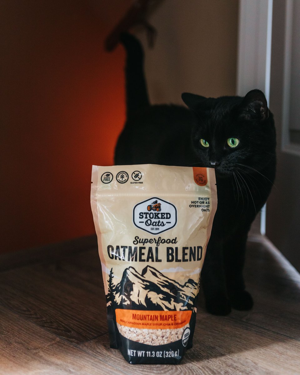 Spooky submission from Sabrina the teenage witch and her cat, Salem🎃 Even Sabrina fuels her magic with Stoked Oats! #fuelthefirewithin #stoked #stokedoats #superfood #vegan #glutenfree #plantbased #healthy #healthyeating #natural #sabrina #netflix #caos #halloween