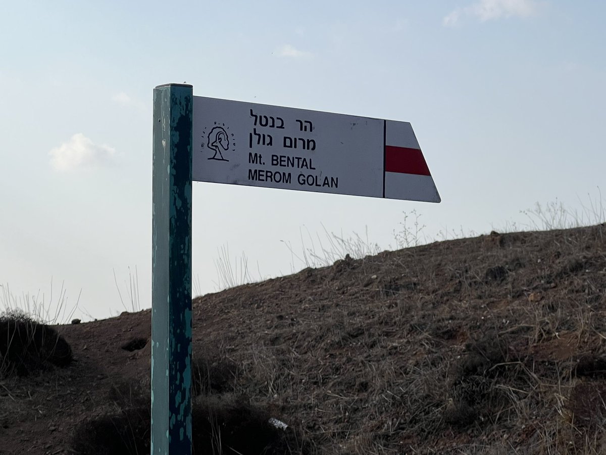 Mark Bryant tweet media