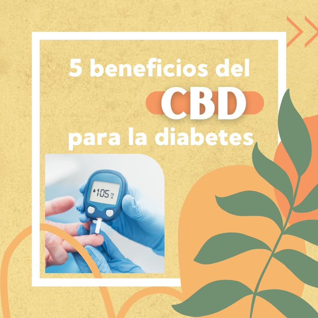 studiogardencol's tweet photo. 🌿Se ha demostrado que el CBD, genera una respuesta favorable en el organismo, ayudando a mejorar o tratar algunas condiciones de salud, entre ellas la diabetes

#cbd #cbdmedellin #lovecbd #cbdcolombia #fundacionmariadolores

*todos nuestros productos son de uso terapéutico. https://t.co/OuXzd5trwc