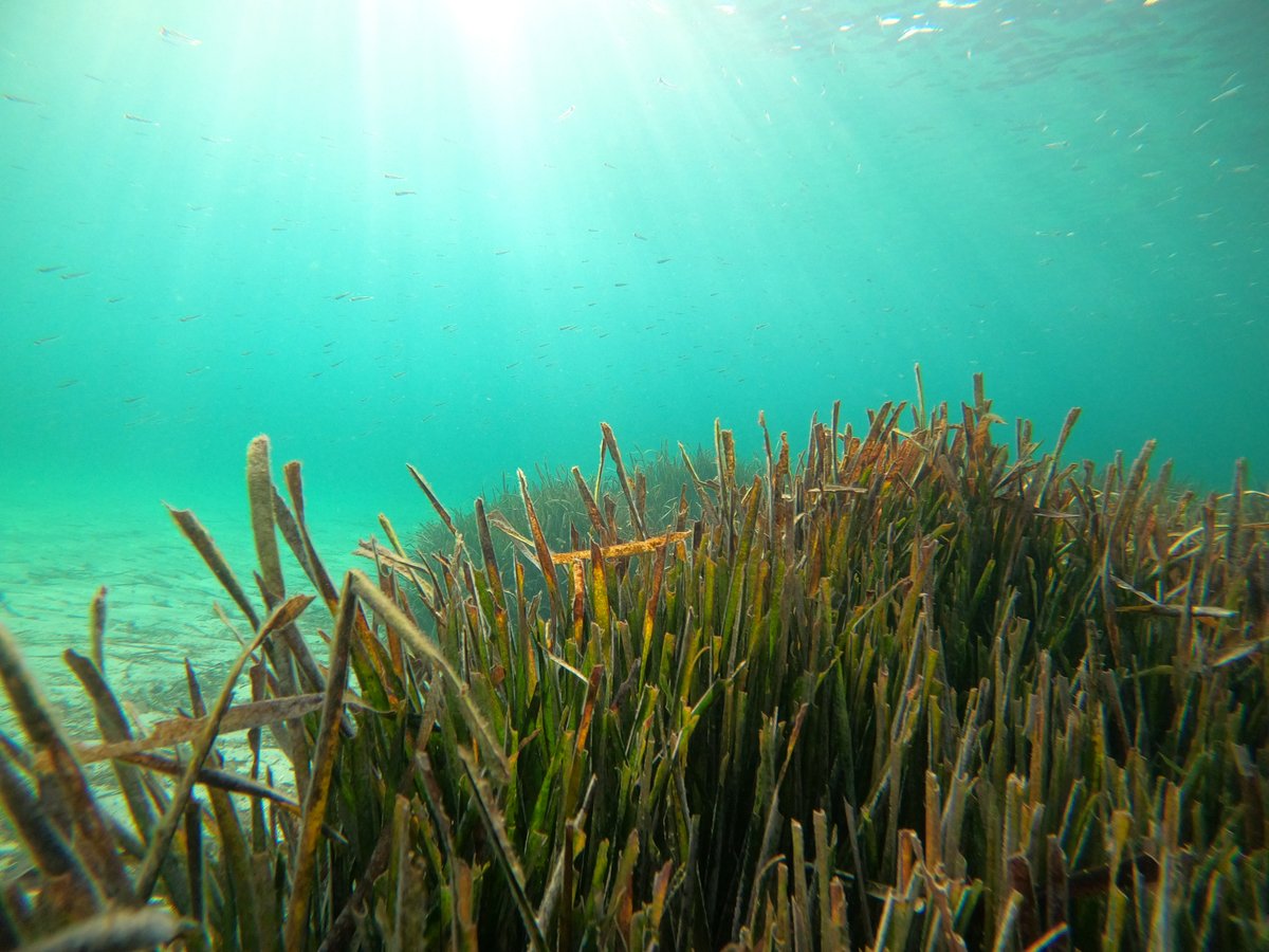 We Are Lab tweet media