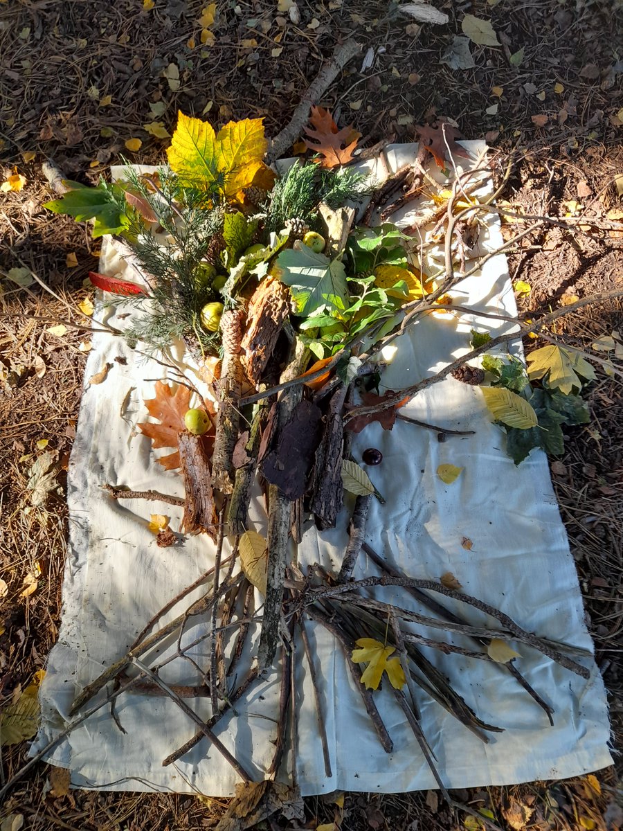Metaphor is everywhere!
Enjoying being part of a project, where children experience wellbeing in nature #TreeOfLife #metaphor #trees #nature #Wellbeing