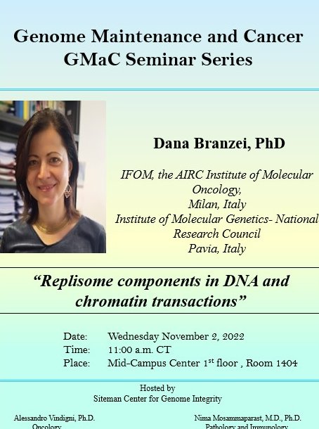 Center for Genome Integrity tweet media