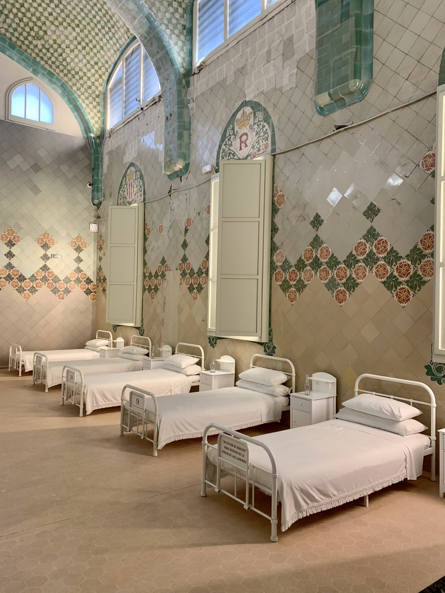 Paul Doolan tweet media