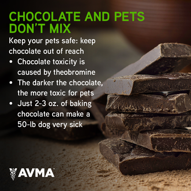 Tweet by AVMA (American Veterinary Medical Association)