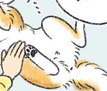 @SAKAGUCHIMAYA 特にこの後ろ足の間とかめっちゃ温かいですよね!
手を突っ込むと、お腹の柔らかさと暖かさに癒やされます。毛が薄い子とかいるとすべすべなの！😊 