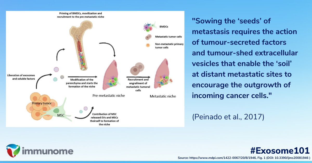 Immunome, Inc. (@immunome) on Twitter photo Knowledge of #exosomes has blossomed in the 21st century, with research linking exosomes to cancer growth & #metastasis. Exosomes condition the #TumorMicroenvironment or “fertilize the soil” to enable cancer growth. More in <a href="/NatureRevCancer/">Nature Reviews Cancer</a>: bit.ly/3CeXEpi #Exosome101 Knowledge of #exosomes has blossomed in the 21st century, with research linking exosomes to cancer growth & #metastasis. Exosomes condition the #TumorMicroenvironment or “fertilize the soil” to enable cancer growth. More in <a href="/NatureRevCancer/">Nature Reviews Cancer</a>: bit.ly/3CeXEpi #Exosome101