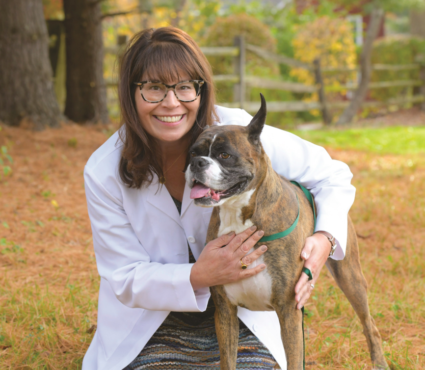 Tweet by MSU Veterinary Medicine