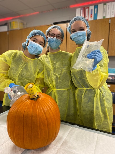 JaneWHerndon's tweet photo. Pumpkinectomies in the OR today! Students in Mrs. Koler's Biomed classes practice prepping for surgery today -- scrubbing in, filling out patient charts, and ensuring their pumpkins are taken care of and on the mend before Halloween. #GoBJHS #mcslearn https://t.co/FxCkDlXLCi