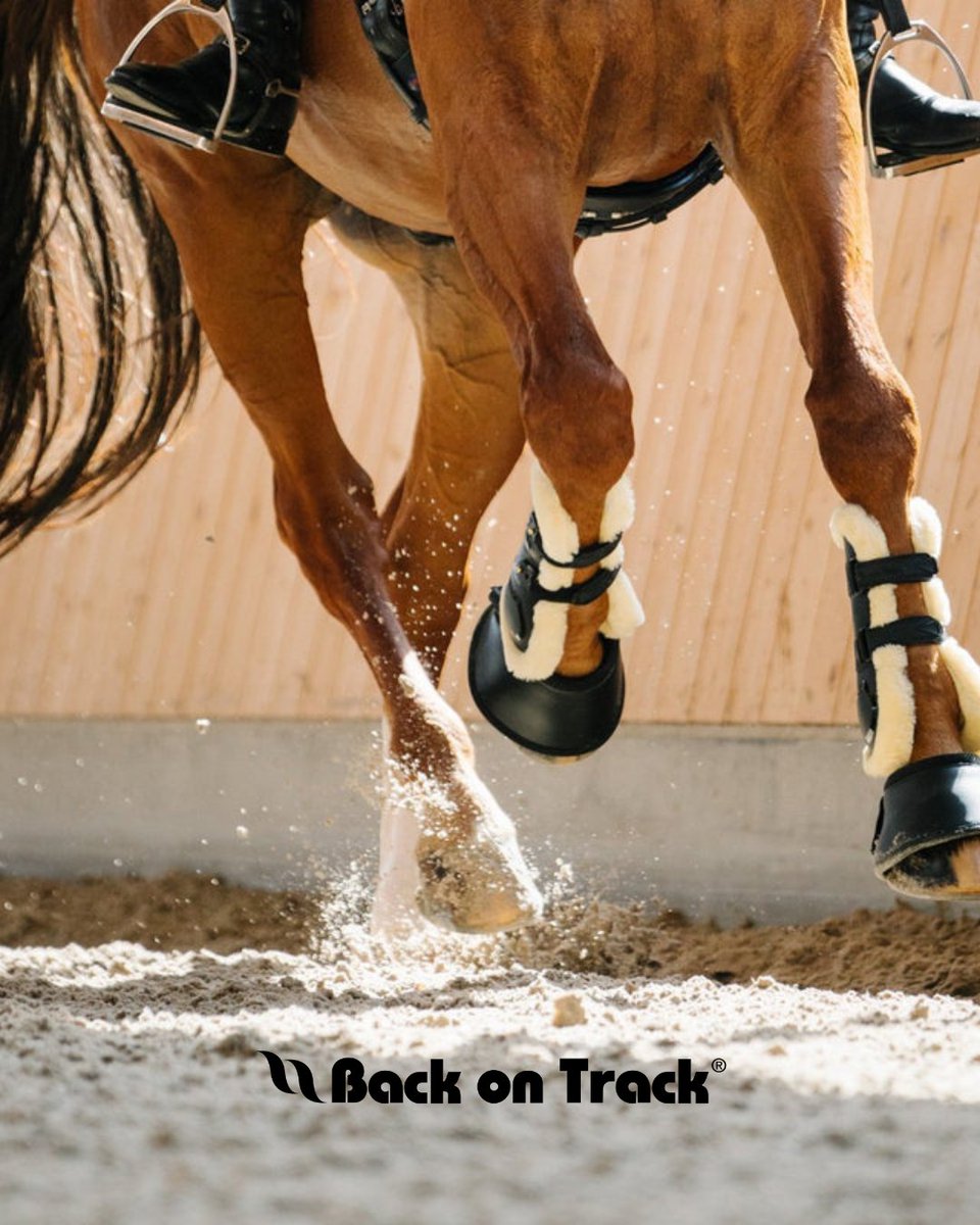 HUGE SALE! Back on Track is 20% OFF with code: BOT20💙 
Oct 28th - Oct 31st
 breeches.com/collections/ba…