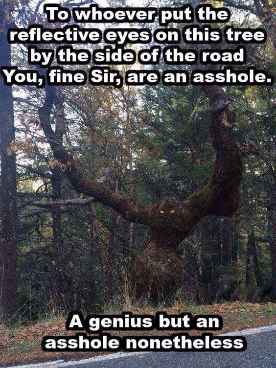 1SafeDriver's tweet image. This crafty person #SendsShiversDownMySpine