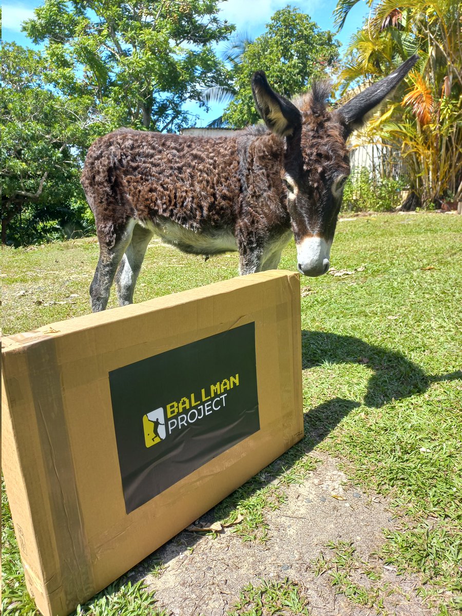 Receiced my racket from <a href="/ballmanproject/">Ball Man</a> !!! #UtilityNFT