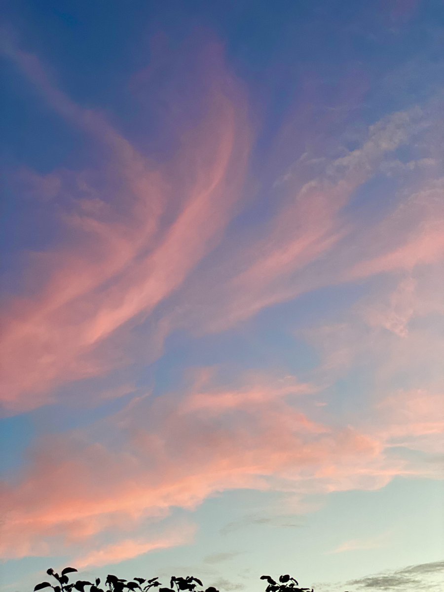 RushyCUB_24's tweet image. #SendsShiversDownMySpine seeing beautiful colours in the sky🌅