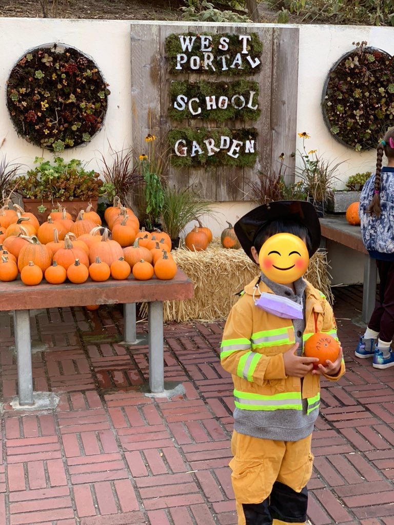 West Portal Elementary Garden tweet media