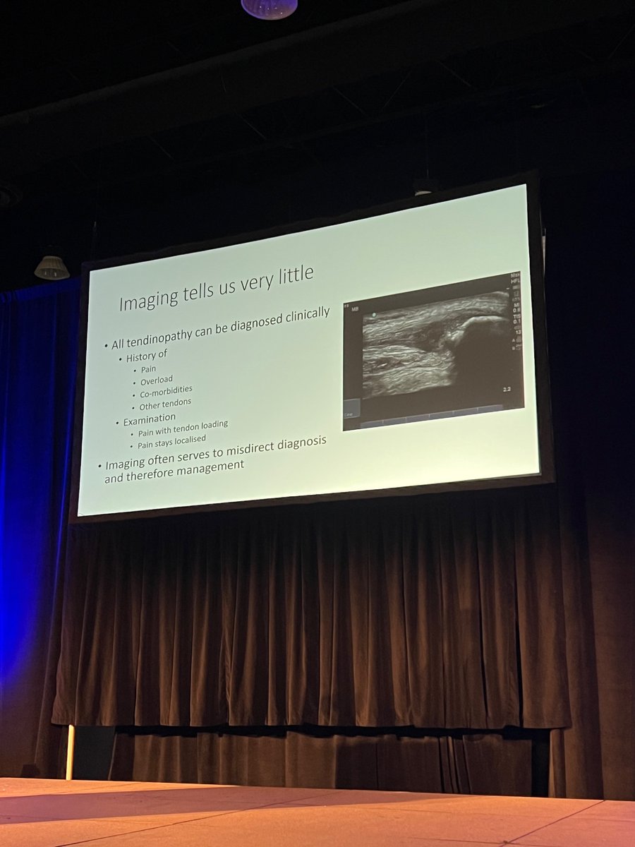 “You can’t image pain” - on the utility of imaging for diagnosing tendinopathy <a href="/ProfJillCook/">Jill Cook</a> #AAOMPT2022