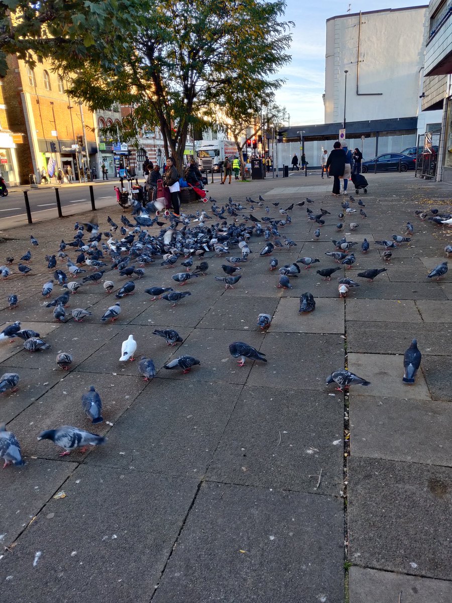 Life In Kilburn tweet media