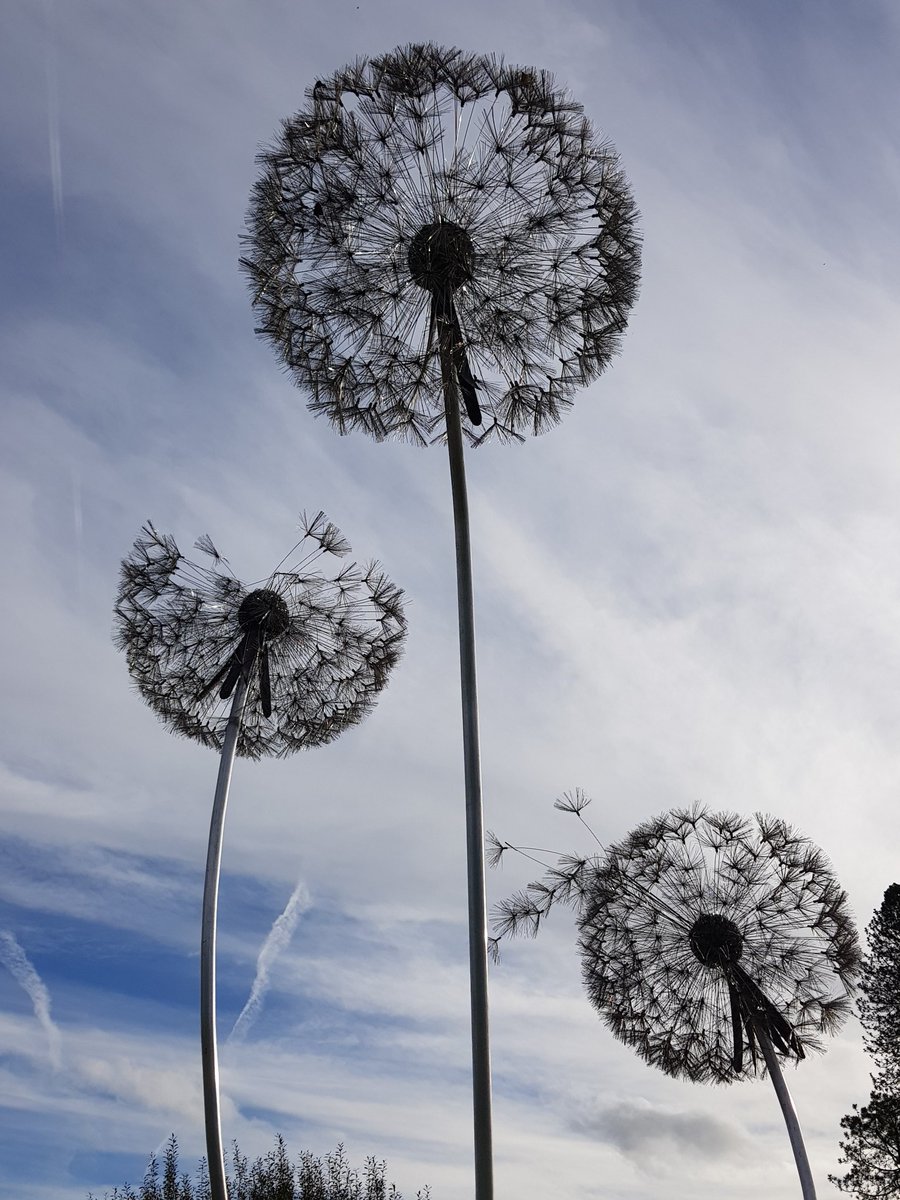 kendie's tweet photo. Fairies and dandelions looking good in autumn sunshine #TrenthamEstate #trenthamgardens #fairies #Fantasywire https://t.co/Xisbqbp010