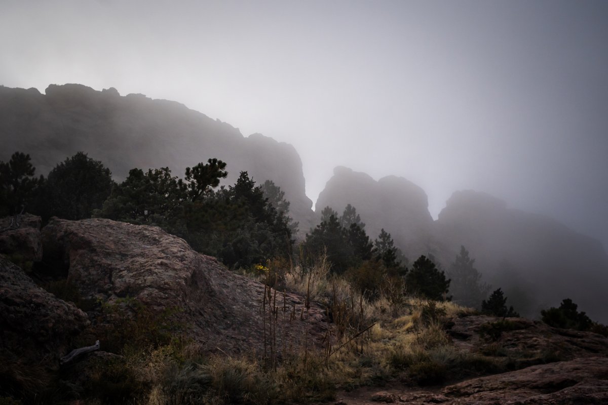 Tweet by Colorado State University