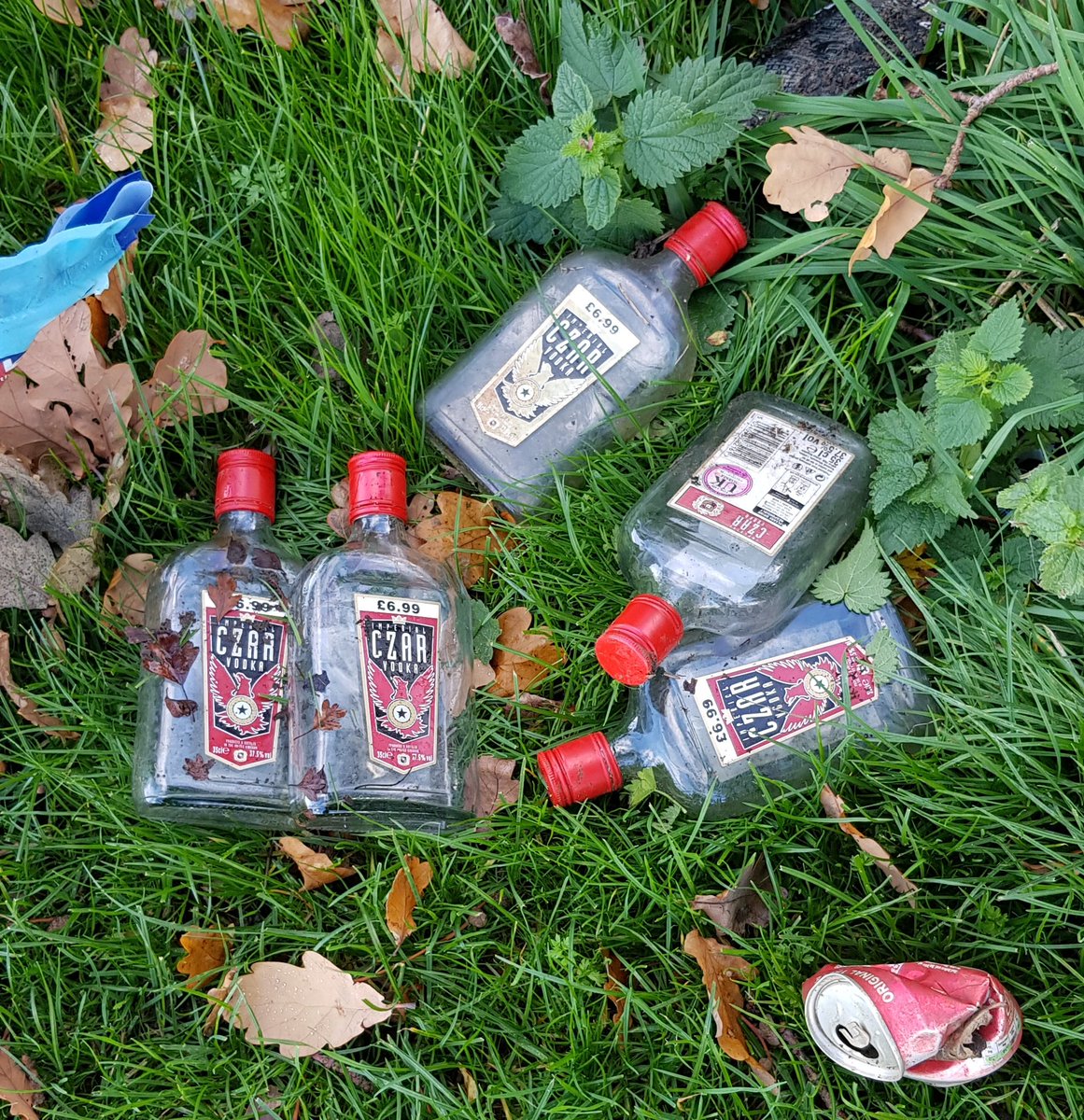BBullrushes's tweet photo. Cleaned #graffiti & paint off our local notice board. Started clearing a new ditch; 2 bags filled & lots of vodka #bottles removed. More lovely #autumnleaves & #wasps enjoying the nectar from ivy #flowers #pitstopsforpollinators #localwildlife #LoveWhereYouLive @KeepBritainTidy https://t.co/xxjtCbZePX