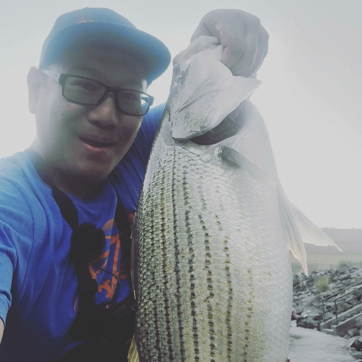 Pure joy and fun catching these Hybrid striped Bass! Oh and helping a buddy catch a true STRIPER for the 1st time!

youtu.be/sokSV5_Dyk4 < Vid

#fishing #bassfishing #fisherman #fishinglife
#fishingaddict #fishingtrip #FishingPlanet #fishfillet